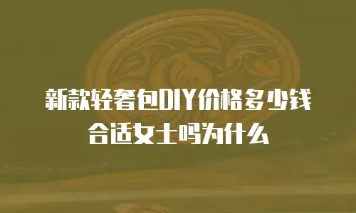 新款轻奢包DIY价格多少钱合适女士吗为什么