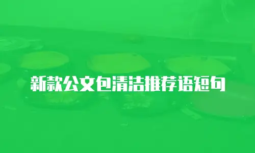 新款公文包清洁推荐语短句