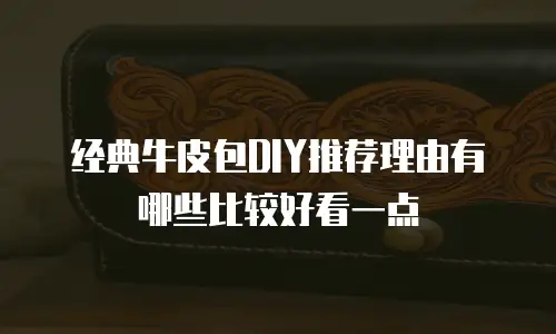 经典牛皮包DIY推荐理由有哪些比较好看一点