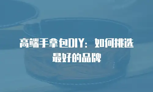 高端手拿包DIY：如何挑选最好的品牌