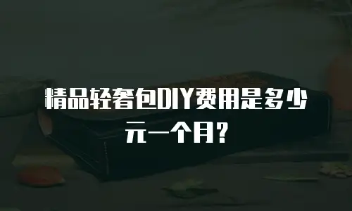 精品轻奢包DIY费用是多少元一个月？