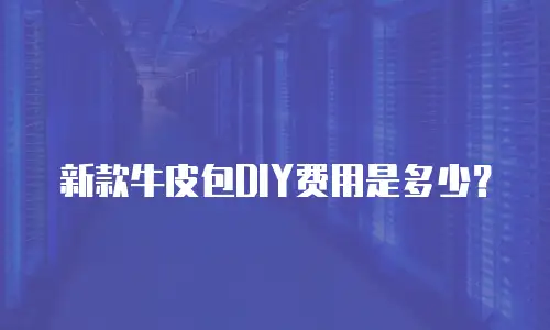 新款牛皮包DIY费用是多少？