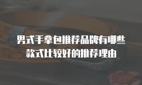 男式手拿包推荐品牌有哪些款式比较好的推荐理由