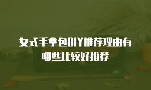 女式手拿包DIY推荐理由有哪些比较好推荐