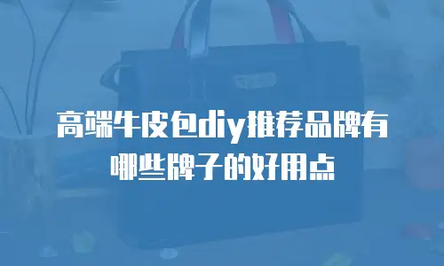 高端牛皮包diy推荐品牌有哪些牌子的好用点