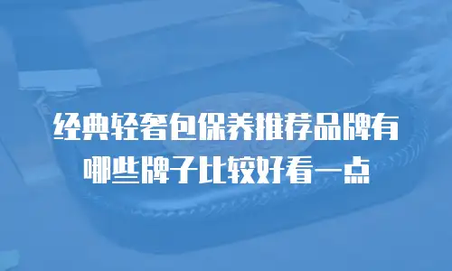 经典轻奢包保养推荐品牌有哪些牌子比较好看一点
