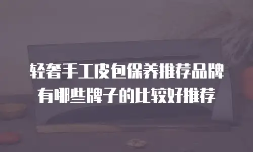轻奢手工皮包保养推荐品牌有哪些牌子的比较好推荐