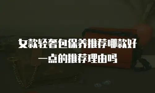 女款轻奢包保养推荐哪款好一点的推荐理由吗