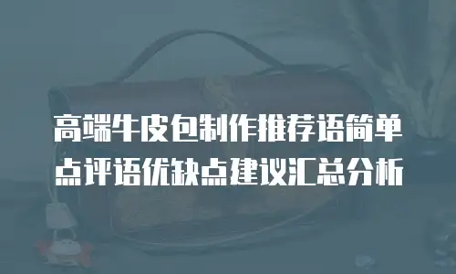 高端牛皮包制作推荐语简单点评语优缺点建议汇总分析