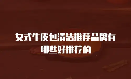 女式牛皮包清洁推荐品牌有哪些好推荐的