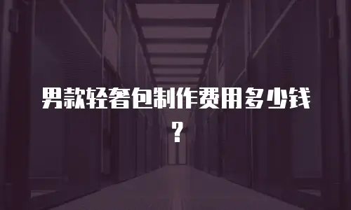 男款轻奢包制作费用多少钱？