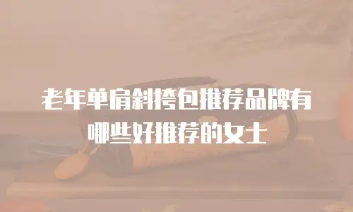 老年单肩斜挎包推荐品牌有哪些好推荐的女士