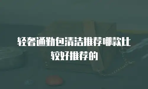 轻奢通勤包清洁推荐哪款比较好推荐的