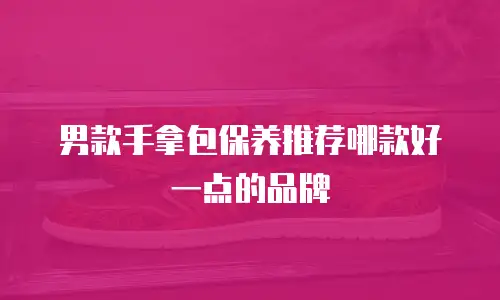 男款手拿包保养推荐哪款好一点的品牌