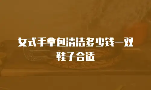女式手拿包清洁多少钱一双鞋子合适