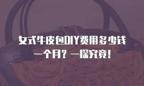 女式牛皮包DIY费用多少钱一个月？一探究竟！