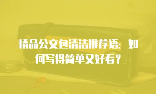 精品公文包清洁推荐语：如何写得简单又好看？