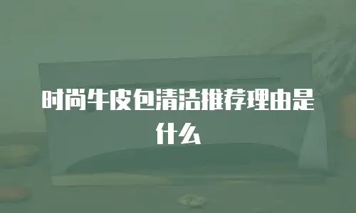 时尚牛皮包清洁推荐理由是什么