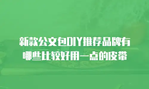 新款公文包DIY推荐品牌有哪些比较好用一点的皮带