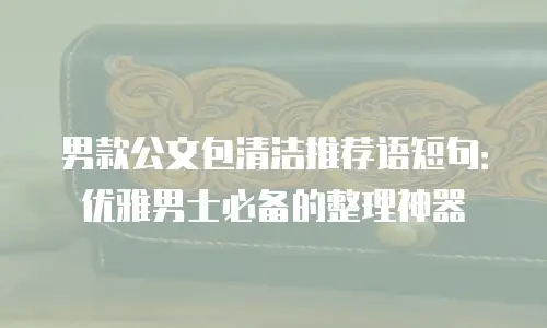 男款公文包清洁推荐语短句：优雅男士必备的整理神器