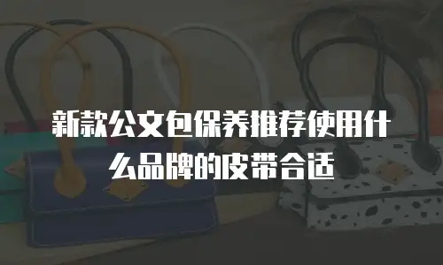 新款公文包保养推荐使用什么品牌的皮带合适