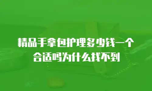 精品手拿包护理多少钱一个合适吗为什么找不到