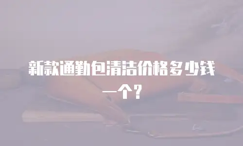 新款通勤包清洁价格多少钱一个？