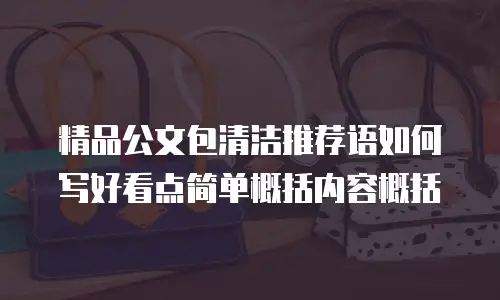 精品公文包清洁推荐语如何写好看点简单概括内容概括