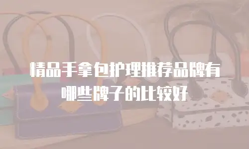 精品手拿包护理推荐品牌有哪些牌子的比较好