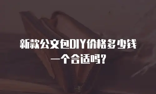 新款公文包DIY价格多少钱一个合适吗？