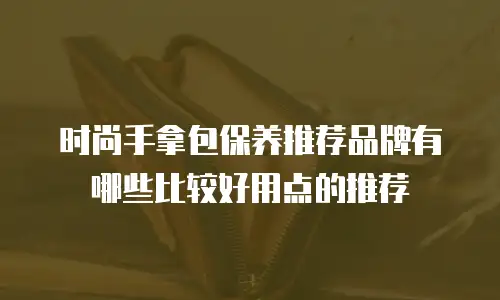 时尚手拿包保养推荐品牌有哪些比较好用点的推荐