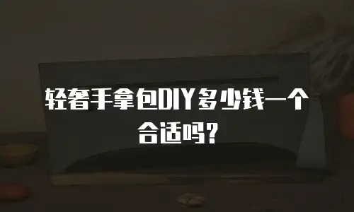 轻奢手拿包DIY多少钱一个合适吗？