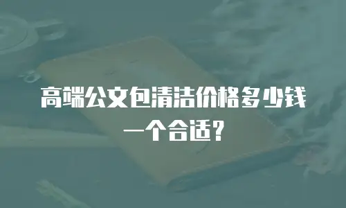 高端公文包清洁价格多少钱一个合适？