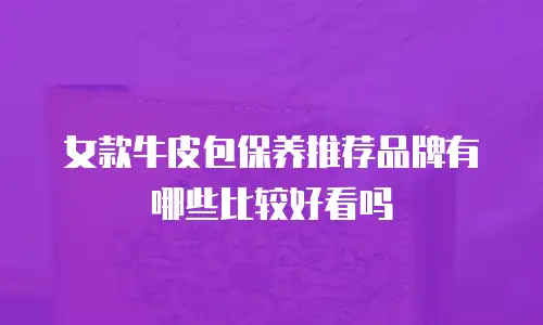 女款牛皮包保养推荐品牌有哪些比较好看吗