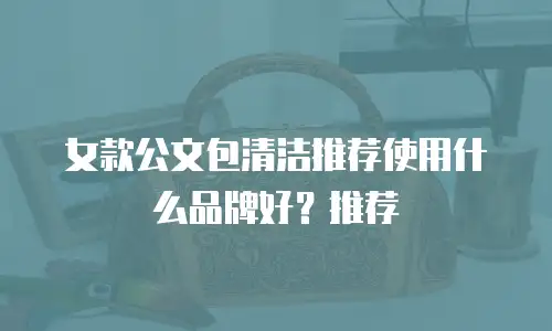 女款公文包清洁推荐使用什么品牌好？推荐