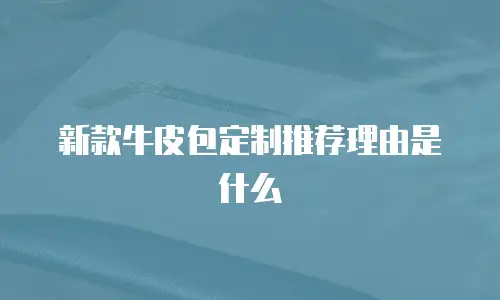 新款牛皮包定制推荐理由是什么