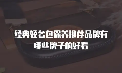 经典轻奢包保养推荐品牌有哪些牌子的好看