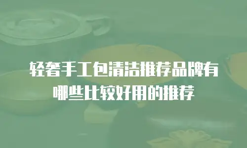 轻奢手工包清洁推荐品牌有哪些比较好用的推荐