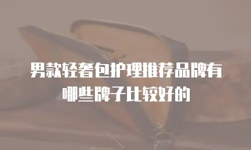 男款轻奢包护理推荐品牌有哪些牌子比较好的