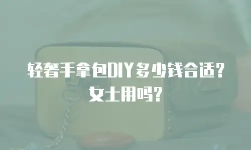 轻奢手拿包DIY多少钱合适？女士用吗？