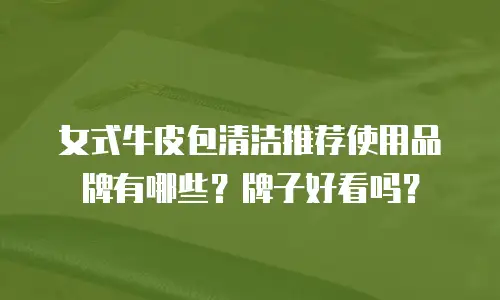 女式牛皮包清洁推荐使用品牌有哪些？牌子好看吗？