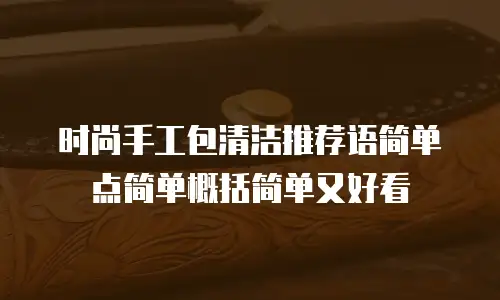 时尚手工包清洁推荐语简单点简单概括简单又好看