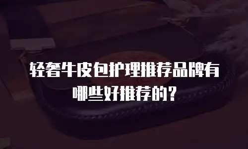 轻奢牛皮包护理推荐品牌有哪些好推荐的？