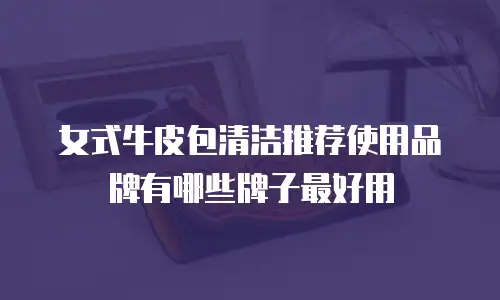 女式牛皮包清洁推荐使用品牌有哪些牌子最好用
