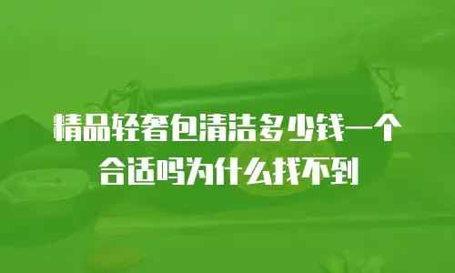 精品轻奢包清洁多少钱一个合适吗为什么找不到