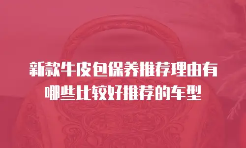 新款牛皮包保养推荐理由有哪些比较好推荐的车型