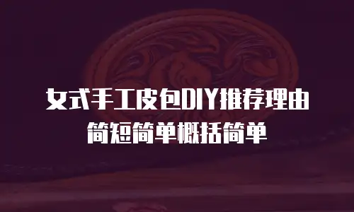 女式手工皮包DIY推荐理由简短简单概括简单