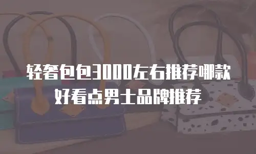 轻奢包包3000左右推荐哪款好看点男士品牌推荐