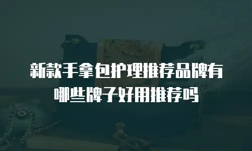 新款手拿包护理推荐品牌有哪些牌子好用推荐吗