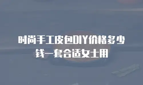 时尚手工皮包DIY价格多少钱一套合适女士用